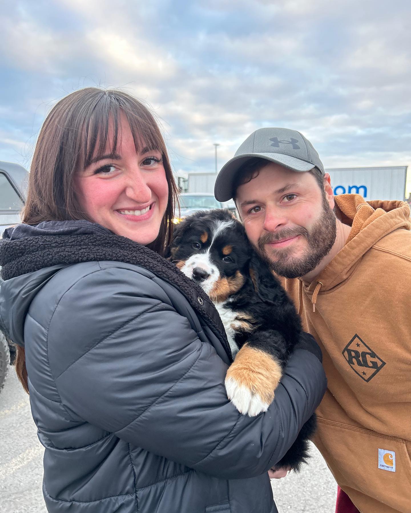 buy bernese mountain dog puppy for sale