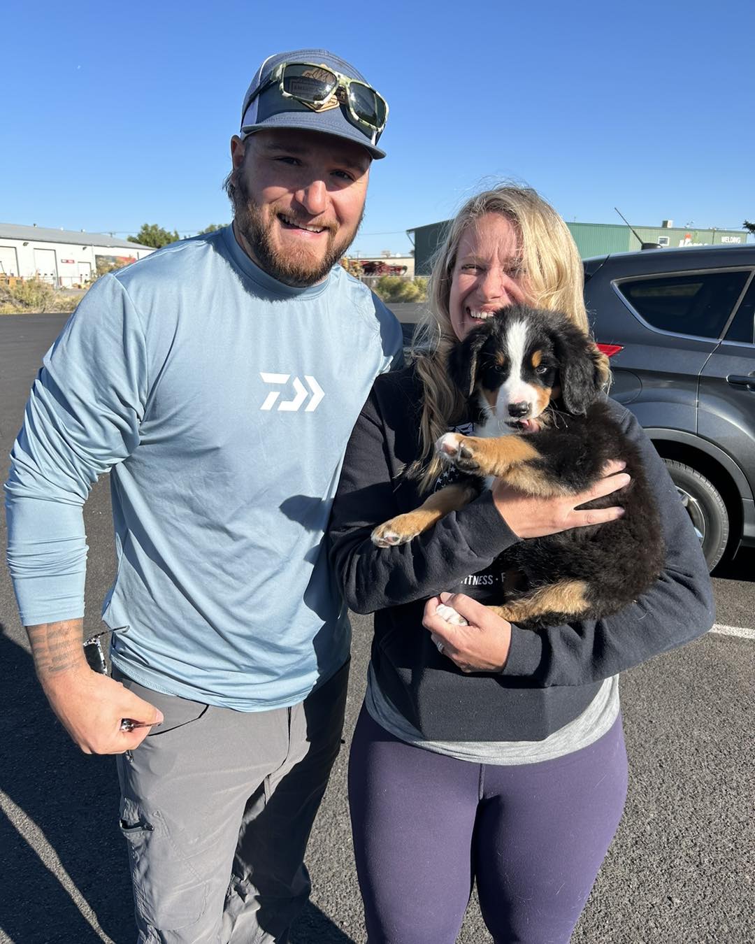 buy bernese mountain dog puppy for sale