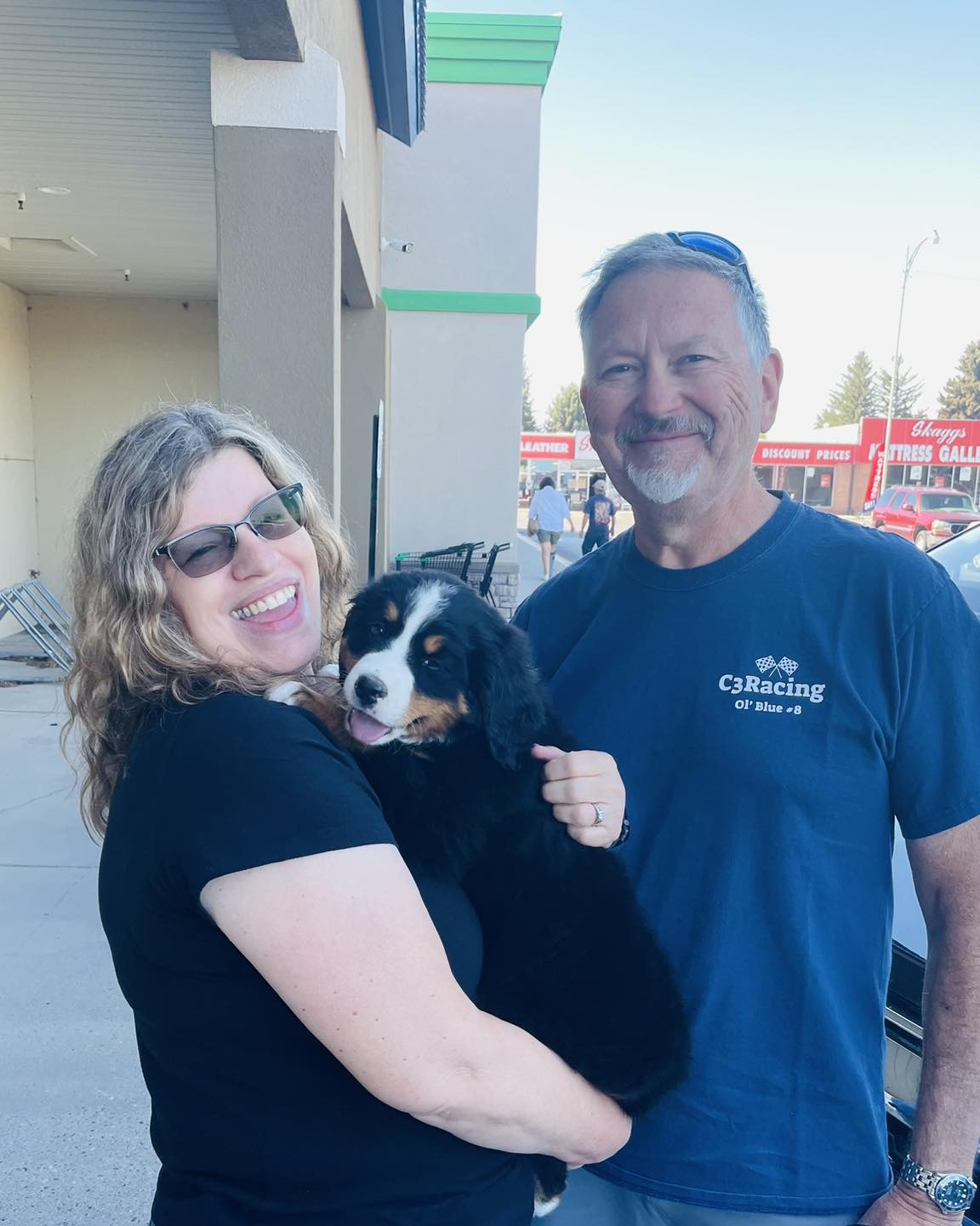 buy bernese mountain dog puppy for sale